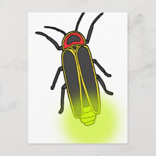 lightning bug lit postcard