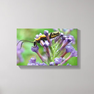 Lightning! Canvas Print