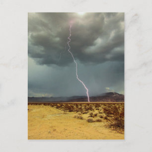 Lightning Joshua Tree Colour Postcard