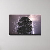 Lightning Strikes In The Sky Behind A Tree