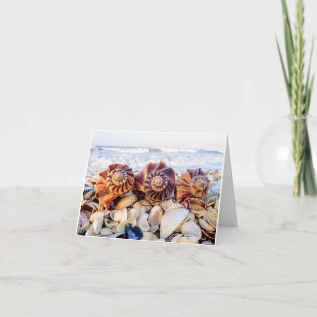 Lightning whelk note cards (Front)