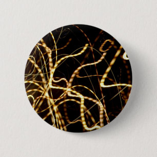 Lights Button