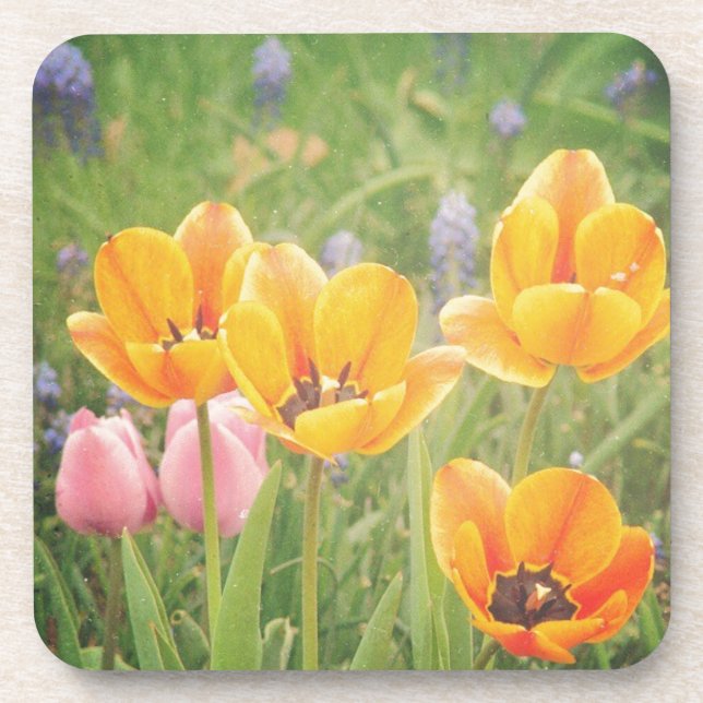 Like a beautiful still life painting coaster (Front)