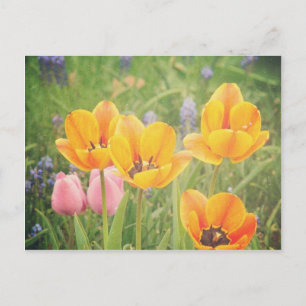 Like a beautiful still life painting postcard