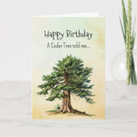 Like a Cedar Tree Spirit  Birthday Personalities
