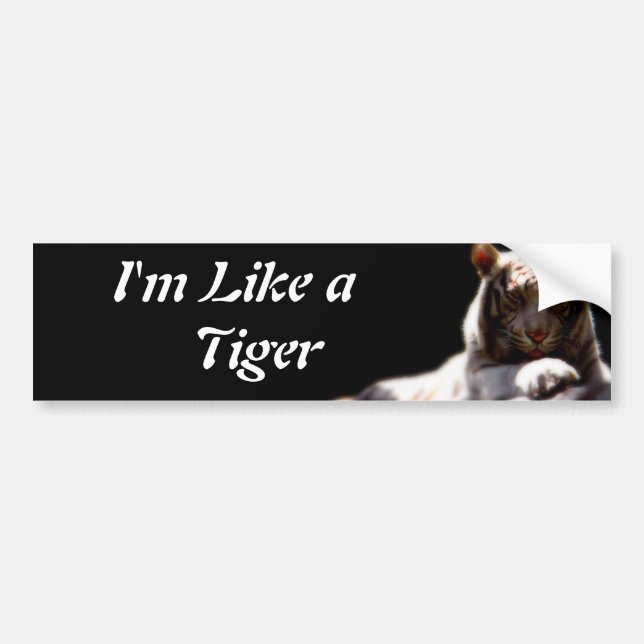 Like A Tiger Bumper Sticker (Front)