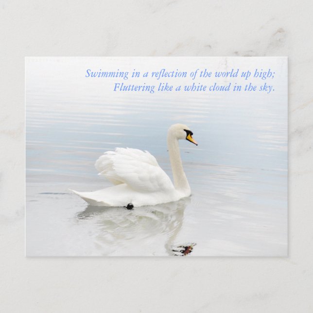 Like a White Cloud Postcard (Front)