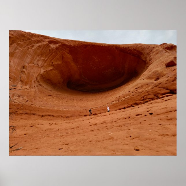 Like Ants Poster (Front)