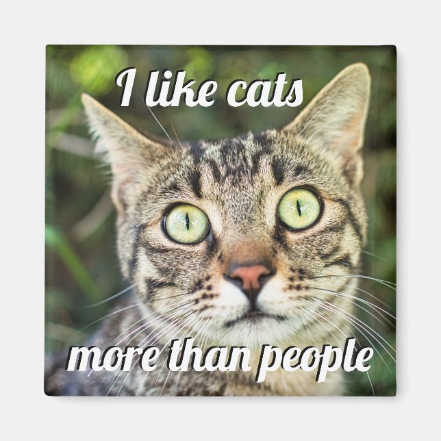 Like cats more than people green-eyed cat close-up magnet (Front)