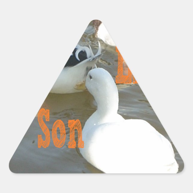 Like Father Like Son. Triangle Sticker (Front)