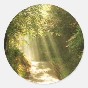 Like in heaven, forest with beams of sun classic round sticker