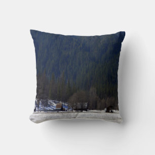 Lil' bitty country life in the mountains.. cushion