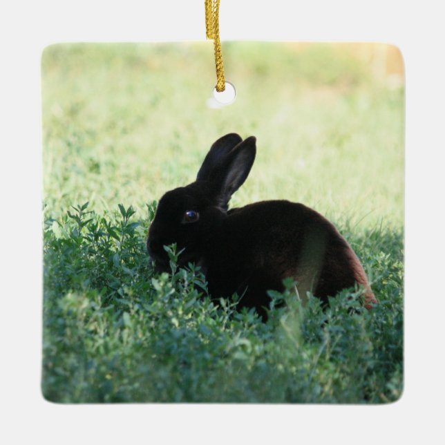 Lil Black Bunny Ceramic Ornament (Front)