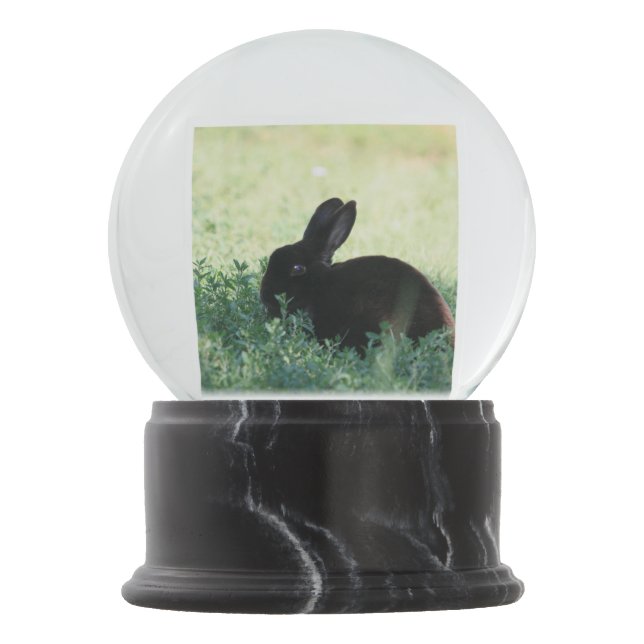 Lil Black Bunny Snow Globe (Front)