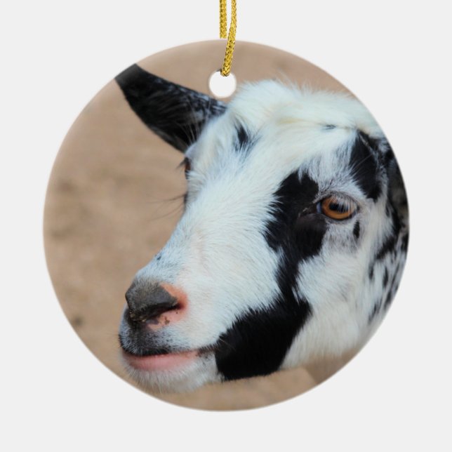Lil goat  ceramic tree decoration (Front)