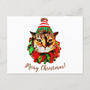 Lil Luv's Postcards
