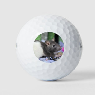 Lil rat golf balls