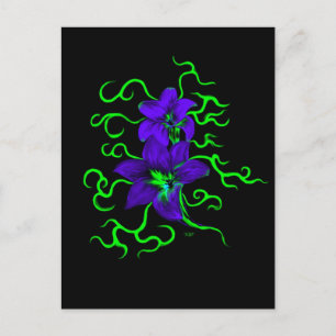 lila Lilie Blume Postcard
