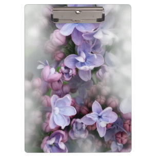 Lilac blooming clipboard