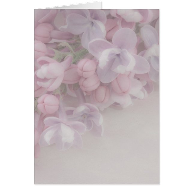 Lilac Blossom Card (Front)