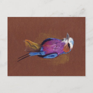 Lilac-breasted roller bir pencils drawing postcard
