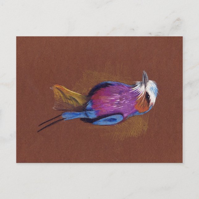 Lilac-breasted roller bir pencils drawing postcard (Front)