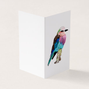 Lilac Breasted Roller Bird