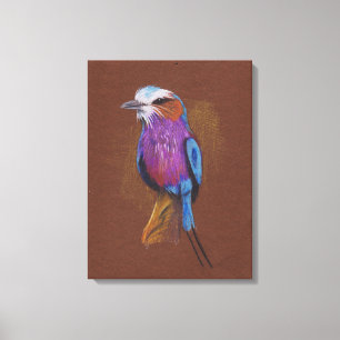 Lilac breasted roller bird illustration animal nat canvas print