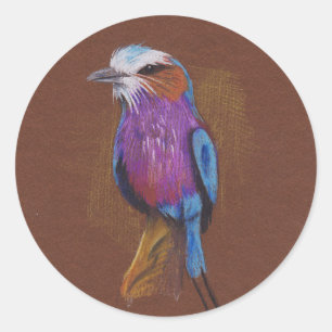 Lilac breasted roller bird illustration animal nat classic round sticker