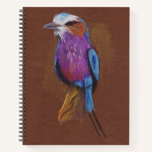 Lilac breasted roller bird illustration animal nat notebook