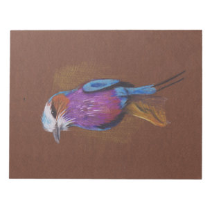 Lilac breasted roller bird illustration animal nat notepad