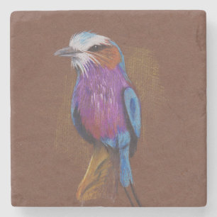 Lilac breasted roller bird illustration animal nat stone coaster