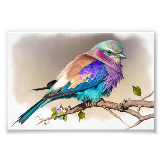 Lilac-Breasted Roller Bird Photo Print (Front)