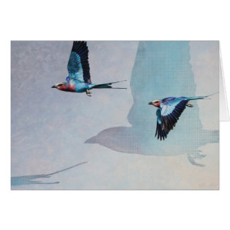 Lilac-Breasted Roller Blank Card, Denman