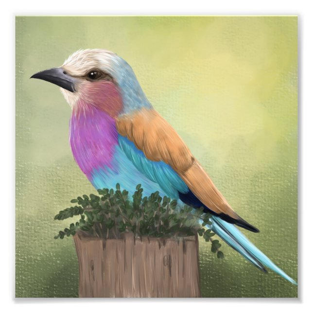 Lilac-Breasted Roller Colourful Bird Art Photo Print (Front)