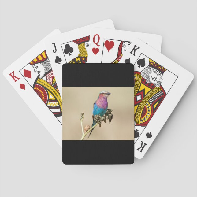 Lilac breasted Roller Playing Cards (Back)
