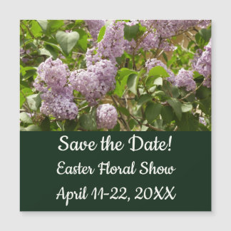 Lilac Bush Beautiful Purple Spring Flowers