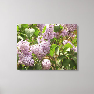 Lilac Bush Beautiful Purple Spring Flowers Canvas Print