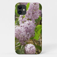 Lilac Bush Beautiful Purple Spring Flowers