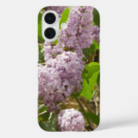 Lilac Bush Beautiful Purple Spring Flowers