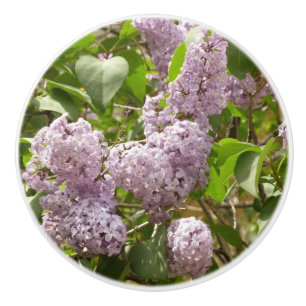 Lilac Bush Beautiful Purple Spring Flowers Ceramic Knob