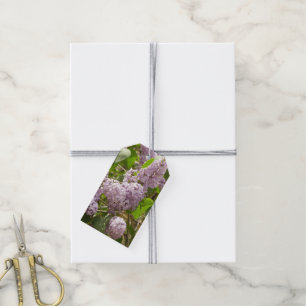 Lilac Bush Beautiful Purple Spring Flowers Gift Tags