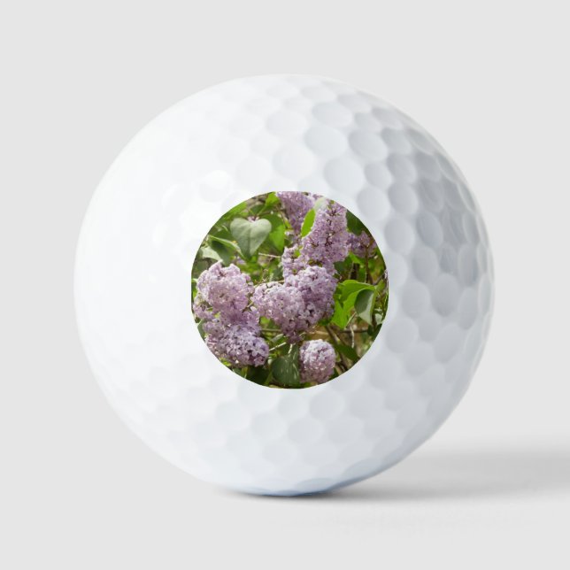 Lilac Bush Beautiful Purple Spring Flowers Golf Balls (Front)