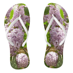 Lilac Bush Beautiful Purple Spring Flowers Jandals