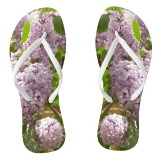 Lilac Bush Beautiful Purple Spring Flowers Jandals