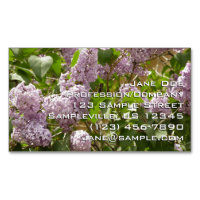 Lilac Bush Beautiful Purple Spring Flowers