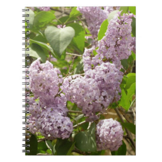 Lilac Bush Beautiful Purple Spring Flowers Notebook