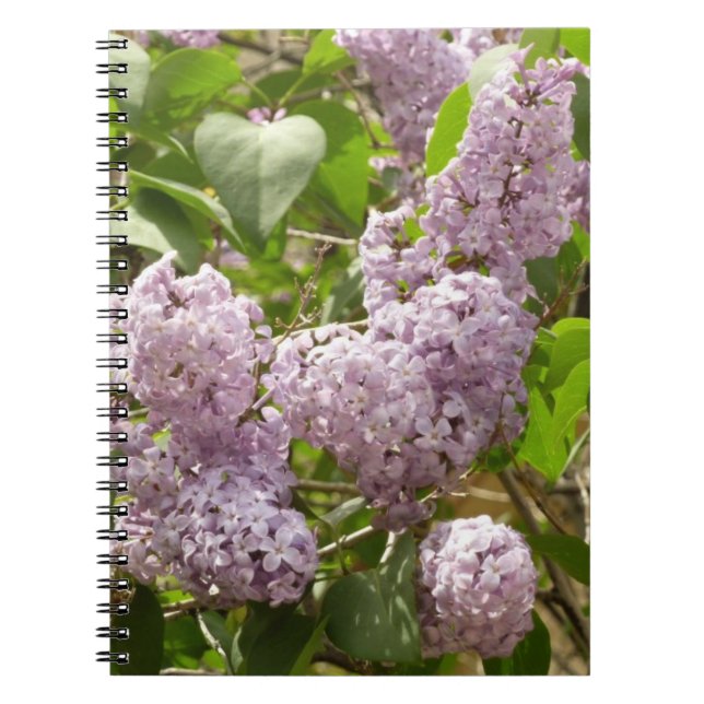 Lilac Bush Beautiful Purple Spring Flowers Notebook (Front)