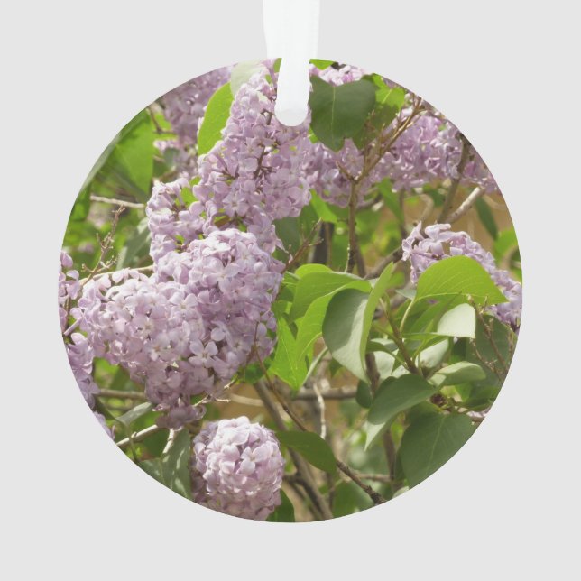 Lilac Bush Beautiful Purple Spring Flowers Ornament (Back)
