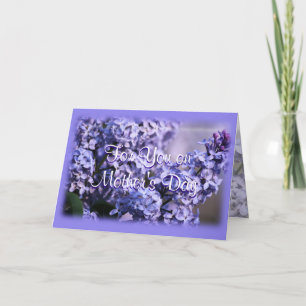 Lilac Bush in Bloom- Mother's Day- or any occasion Card